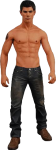 NECA Jacob Black Figure